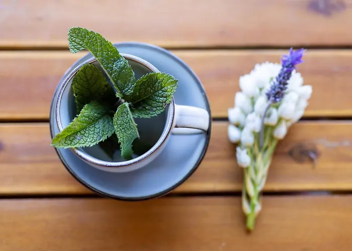 بيت للعطل Casa El Nogal لا أوروتافا