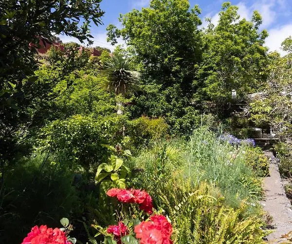 Casa El Nogal لا أوروتافا