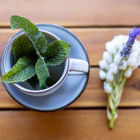 Ferienhaus Casa El Nogal La Orotava