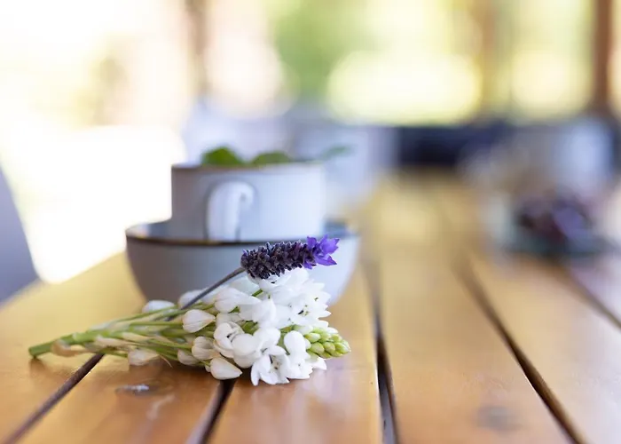 Vakantiehuis Casa El Nogal *