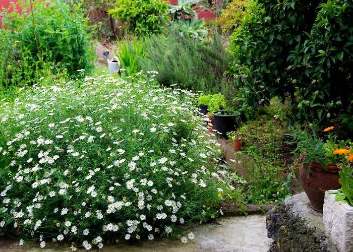 Casa El Nogal Prázdninový dům La Orotava