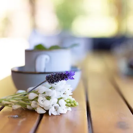 Casa vacanze Casa El Nogal *