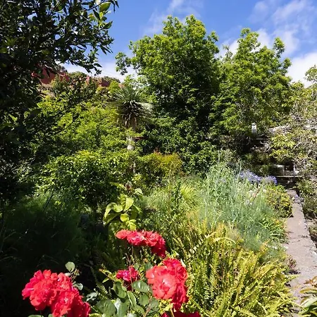 Casa El Nogal La Orotava