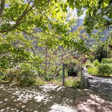 Casa El Nogal La Orotava